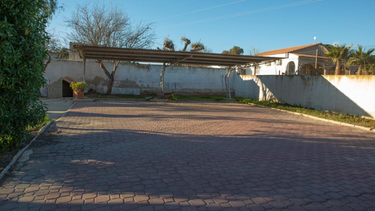 Estudio Adosado Acogedor Con Jardin, Barbacoa Y Parking Privado Alicante Esterno foto